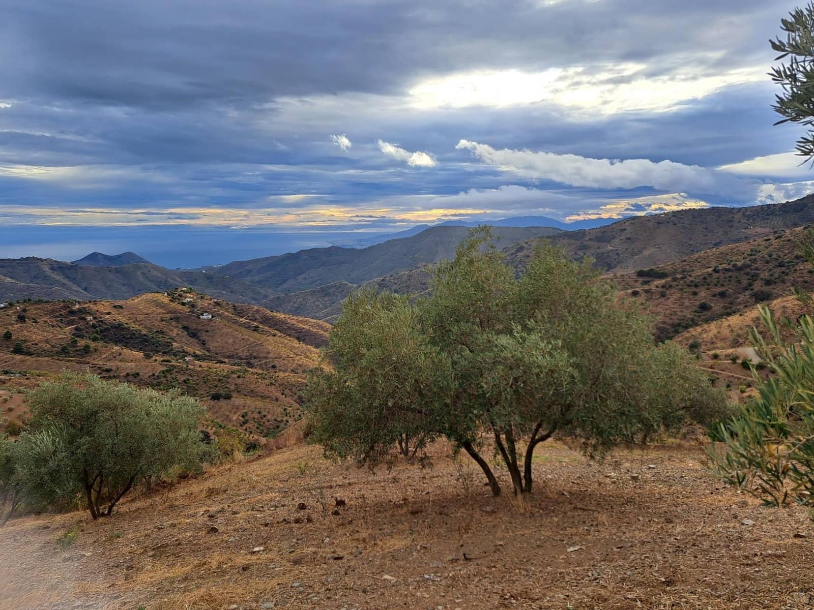 Grunde uden byggetilladelser til salg i Malaga by - € 275.000 (Ref: 8767209)