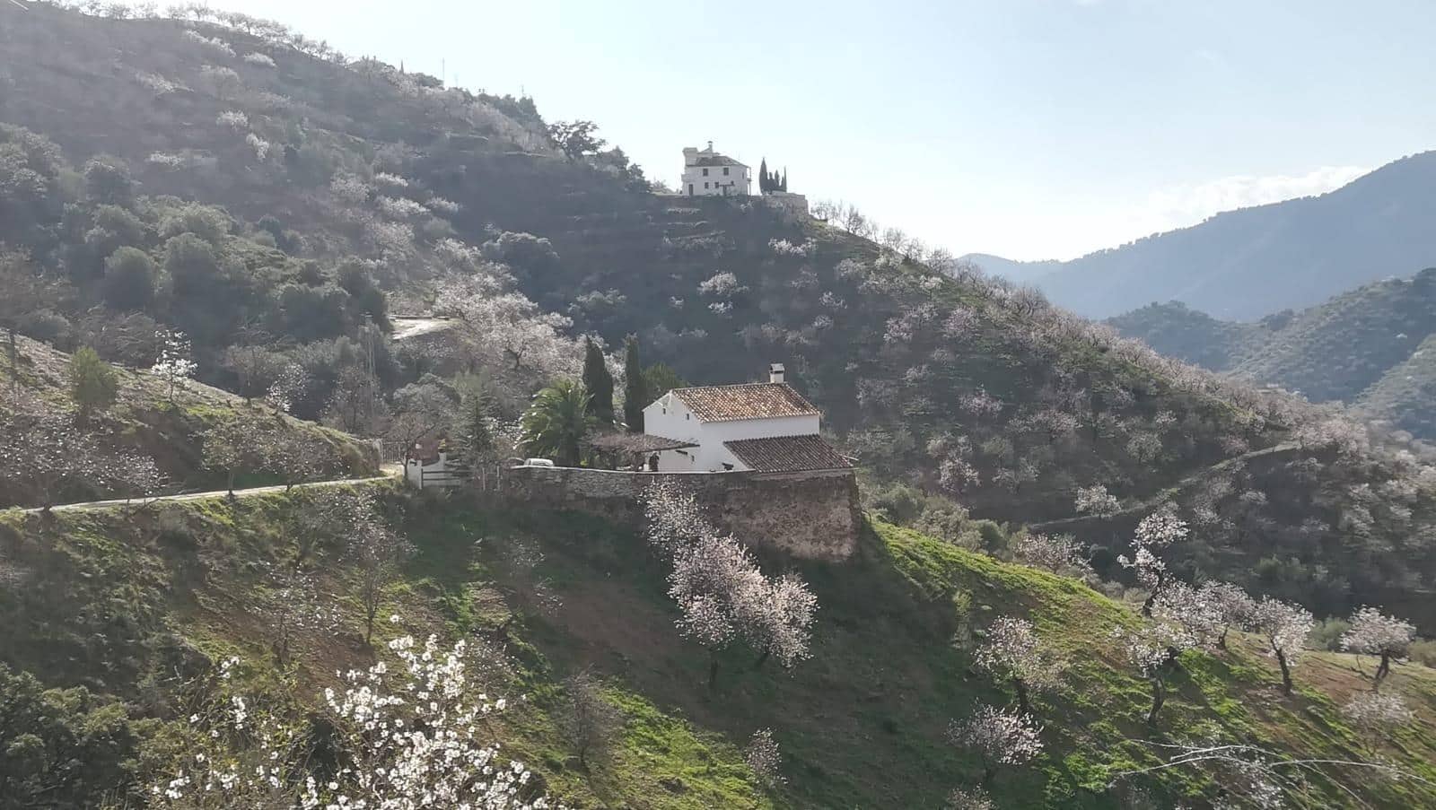 Grunde uden byggetilladelser til salg i Malaga by - € 275.000 (Ref: 8767209)