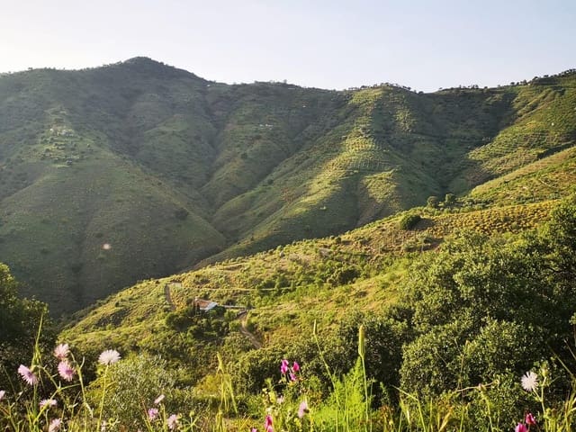 Ubebygd land til salgs i Málaga by - € 275 000 (Ref: 8767209)