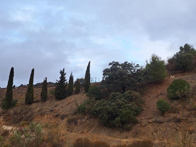 Ubebygd land til salgs i Málaga by - € 275 000 (Ref: 8767209)