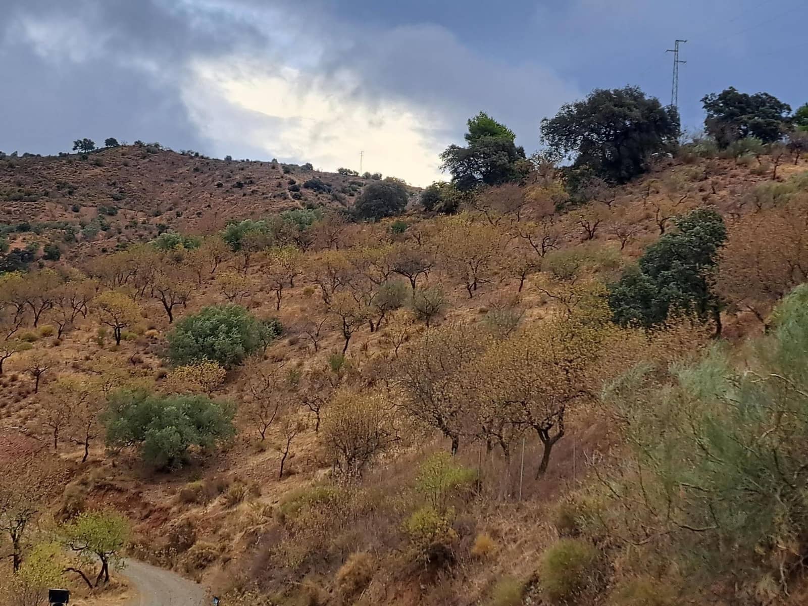 Grunde uden byggetilladelser til salg i Malaga by - € 275.000 (Ref: 8767209)