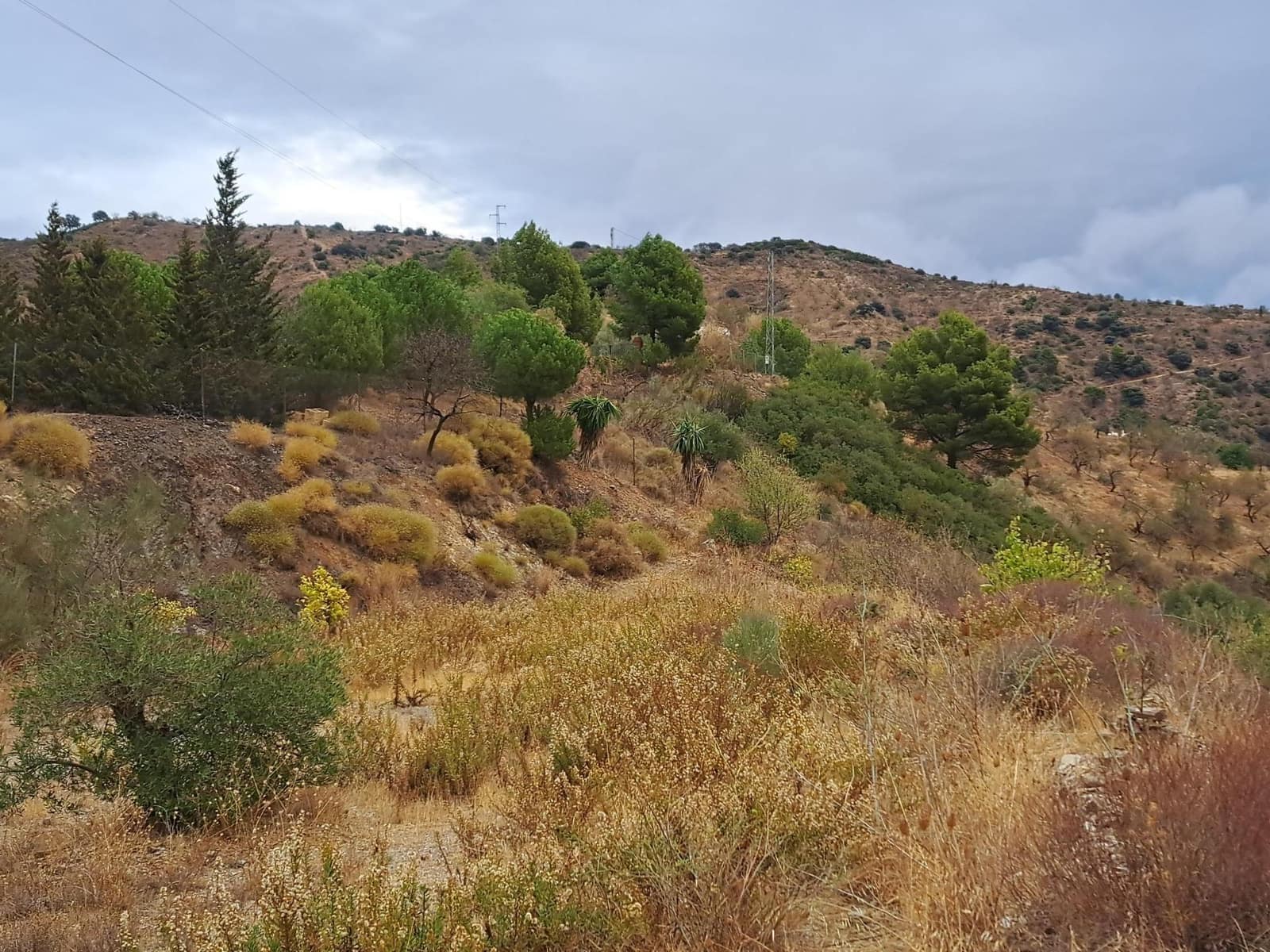 Grunde uden byggetilladelser til salg i Malaga by - € 275.000 (Ref: 8767209)