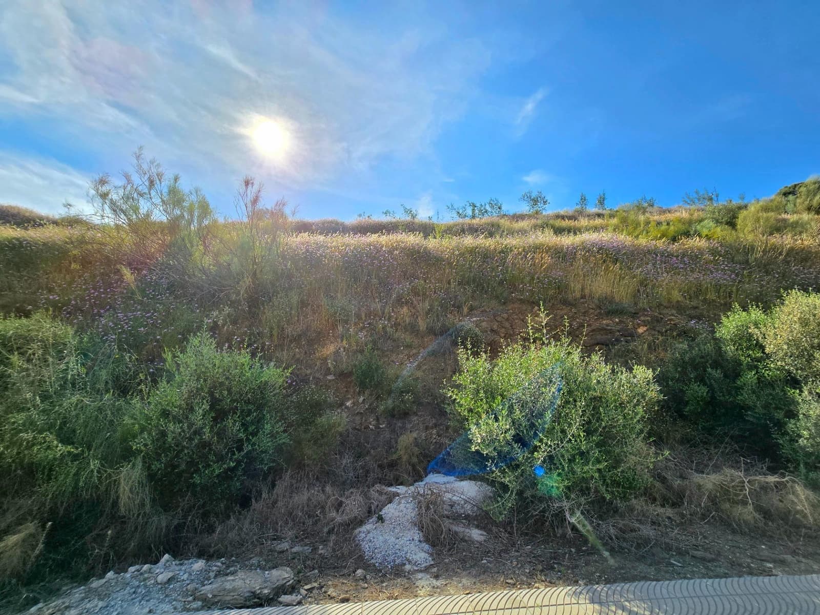 Byggegrund til salg i El Penoncillo - € 440.000 (Ref: 8976146)