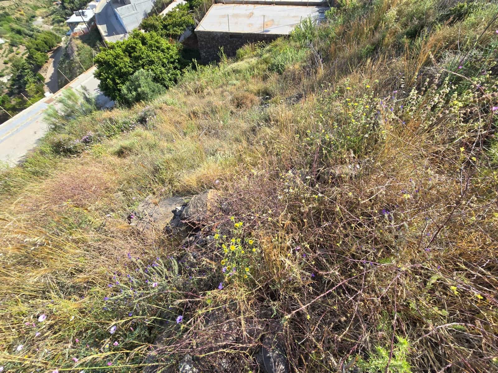 Byggegrund til salg i El Penoncillo - € 440.000 (Ref: 8976146)