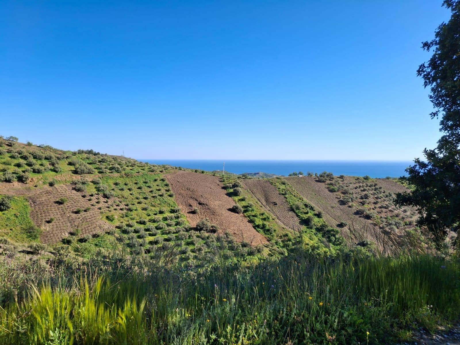 5 sypialnia Finka/Dom wiejski na sprzedaż w Moclinejo z garażem - 350 000 € (Ref: 8993704)