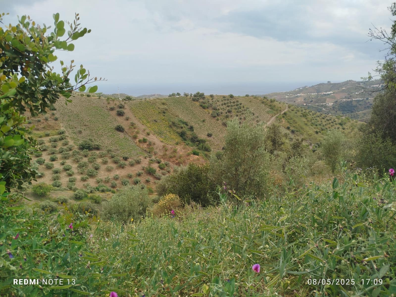 5 sypialnia Finka/Dom wiejski na sprzedaż w Moclinejo z garażem - 350 000 € (Ref: 8993704)