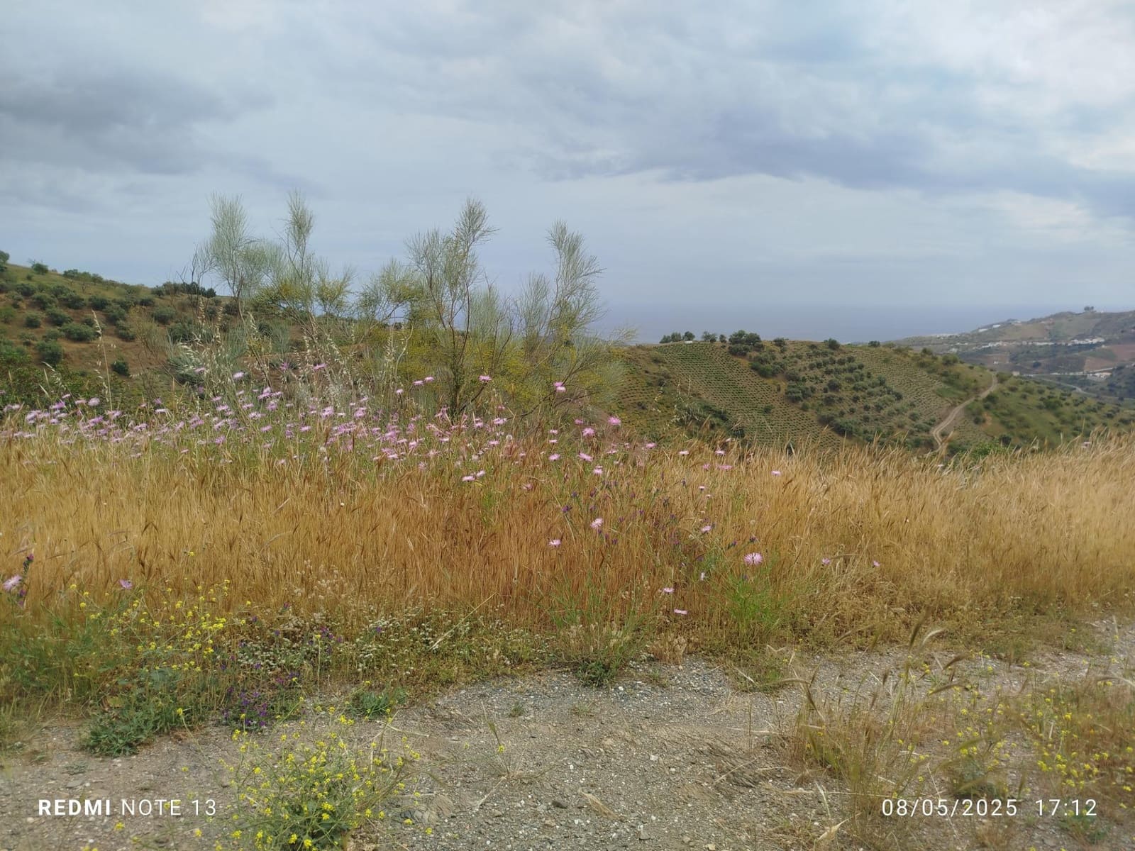 5 sypialnia Finka/Dom wiejski na sprzedaż w Moclinejo z garażem - 350 000 € (Ref: 8993704)