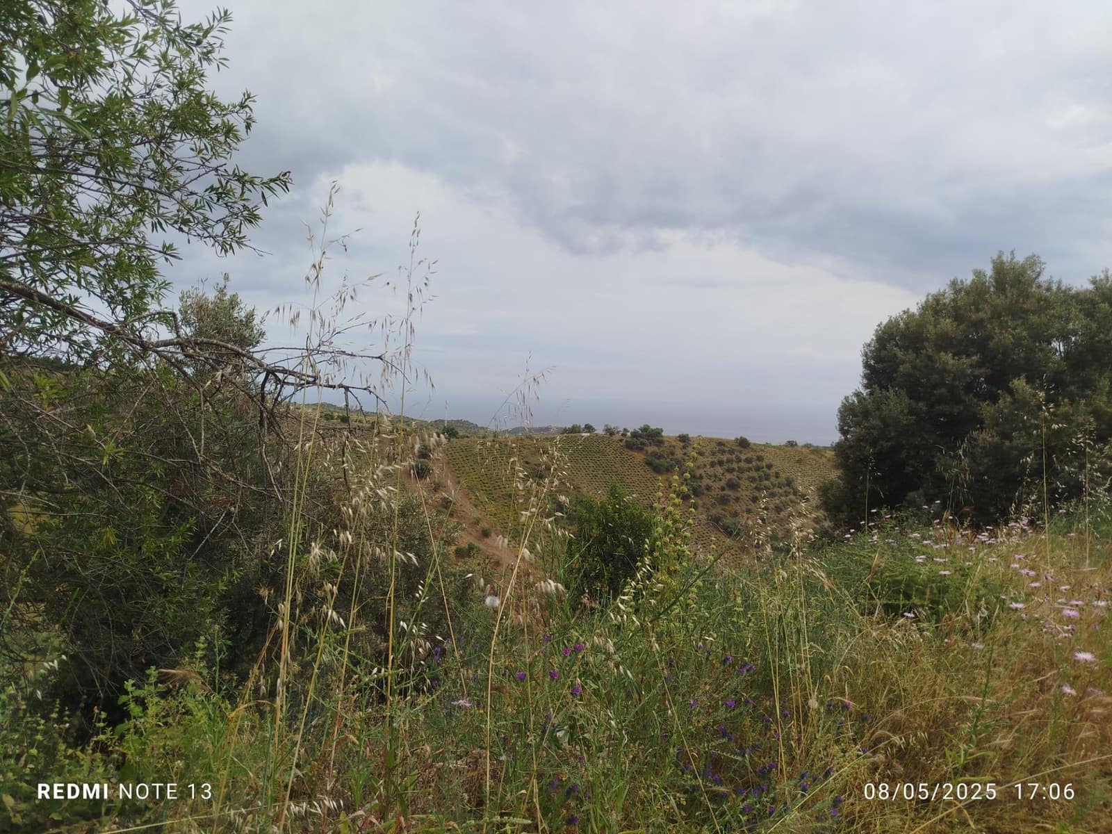 5 sypialnia Finka/Dom wiejski na sprzedaż w Moclinejo z garażem - 350 000 € (Ref: 8993704)