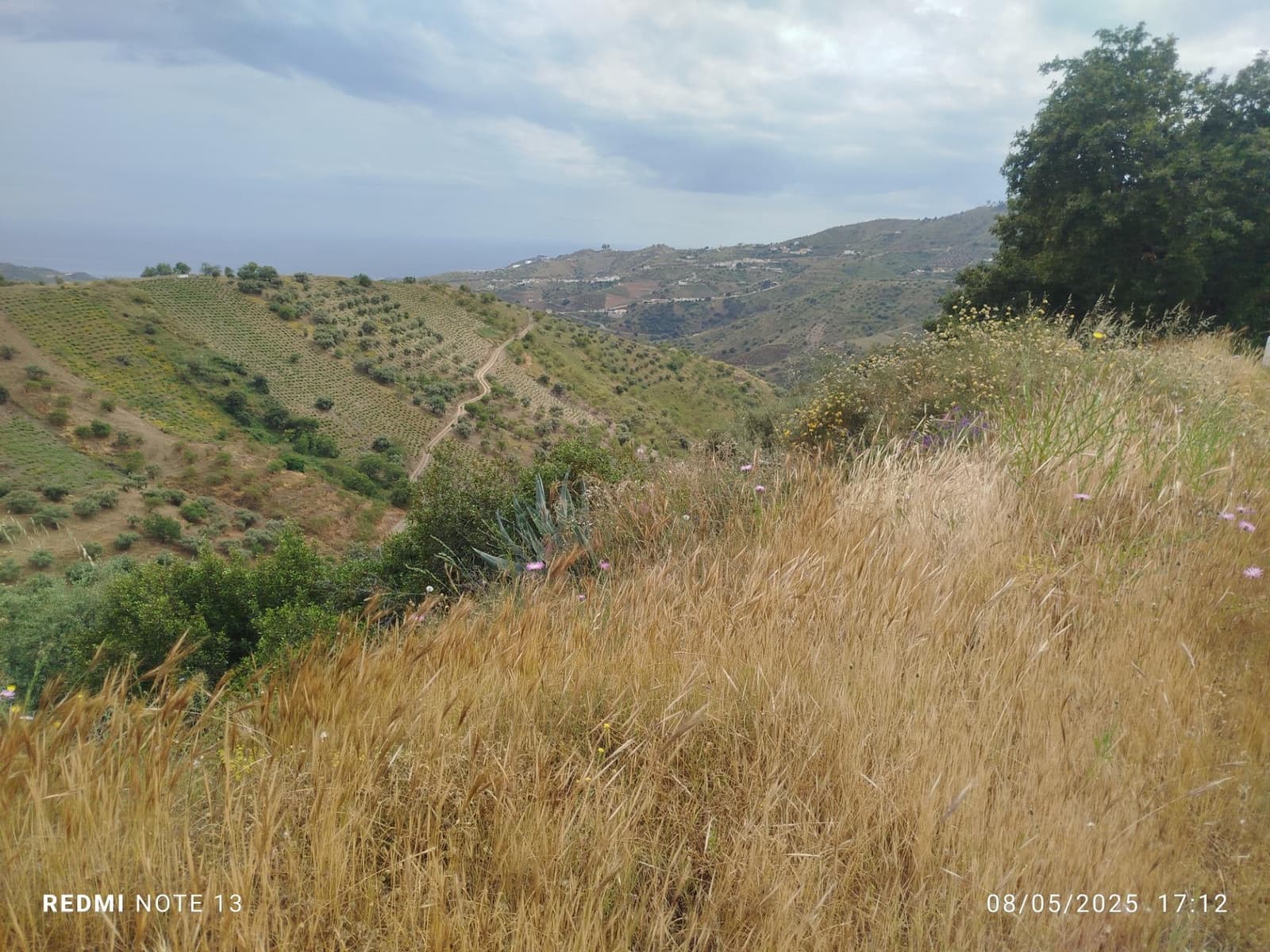 5 sypialnia Finka/Dom wiejski na sprzedaż w Moclinejo z garażem - 350 000 € (Ref: 8993704)