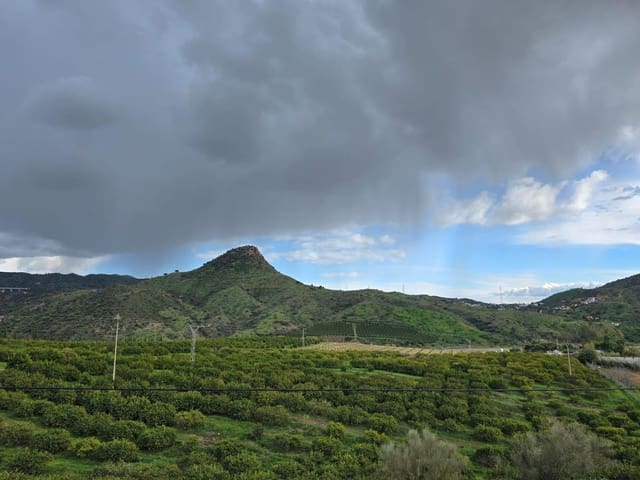 Solar/Parcela en Almogía en venta - 100.000 € (Ref: 9836247)
