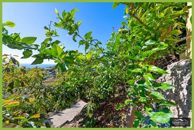 Mark till salu i Chaparil - Torrecilla - Punta Lara, Nerja - 1 500 000 € (Ref: 9999637)