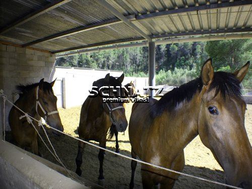 1 camera da letto Finca/Casa di Campagna in vendita in Orba con garage - 180.000 € (Rif: 2686228)