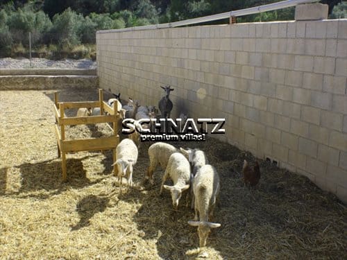 1 camera da letto Finca/Casa di Campagna in vendita in Orba con garage - 180.000 € (Rif: 2686228)