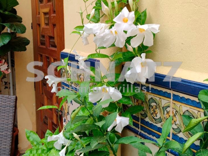 8 soveværelse Byhus til salg i Sanet i Negrals med garage - € 369.000 (Ref: 8562146)