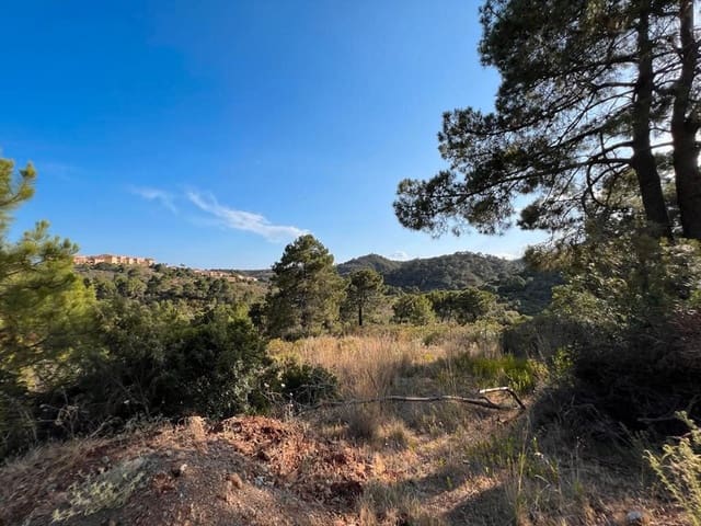 Bauplatz zu verkaufen in Parque Central, Estepona - 4.500.000 € (Ref: 9086036)