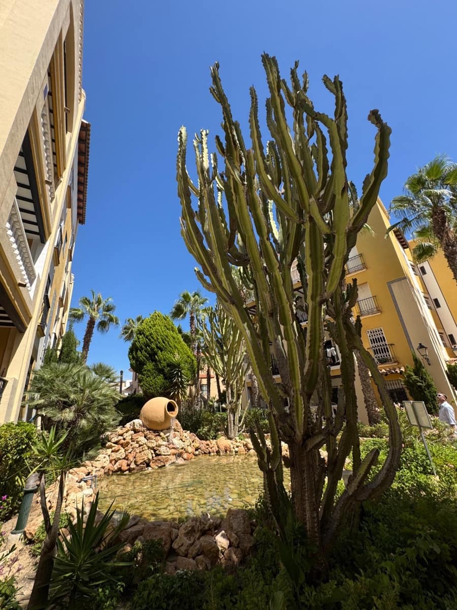 3 soveværelse Penthouse til salg i Torrevieja med garage - € 299.000 (Ref: 9354300)