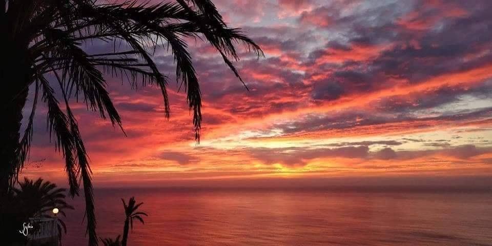 3 makuuhuone Bungalow myytävänä paikassa Torrevieja mukana uima-altaan 
autotalli - 286 700 € (Ref: 9671930)