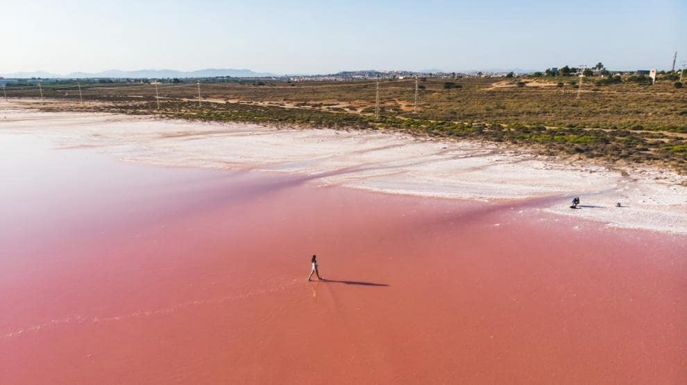 1 chambre Penthouse à vendre à Torrevieja avec piscine - 425 950 € (Ref: 9733078)