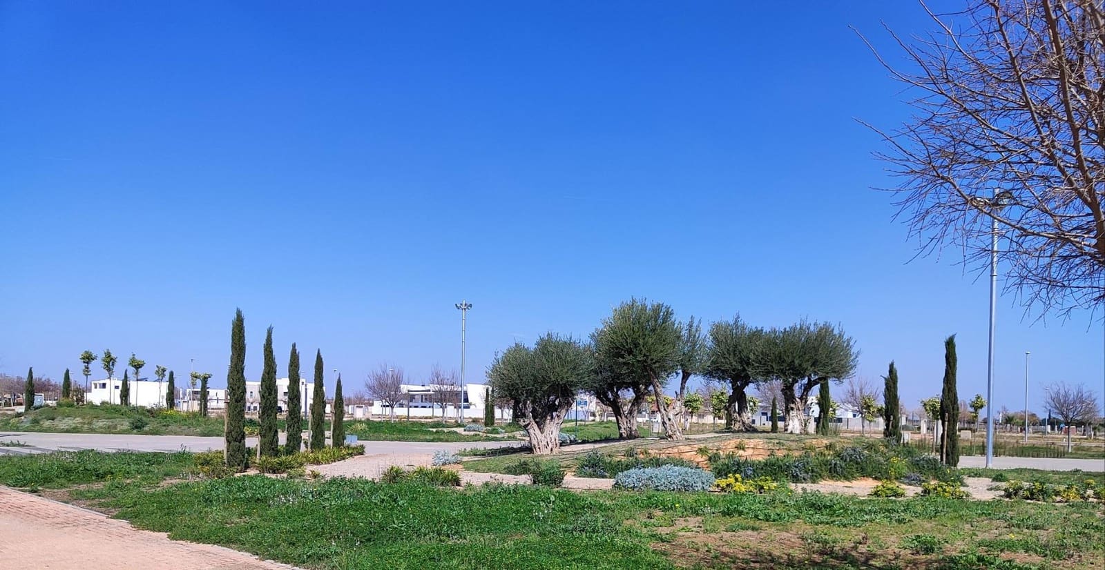 2 bedroom Penthouse for sale in Torre-Pacheco with pool - € 229,000 (Ref: 9769176)