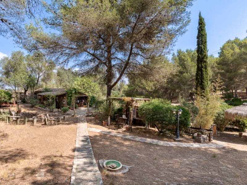 Finca/Casa Rural de 4 habitaciones en Manacor en venta con piscina garaje - 1.675.000 € (Ref: 10005344)