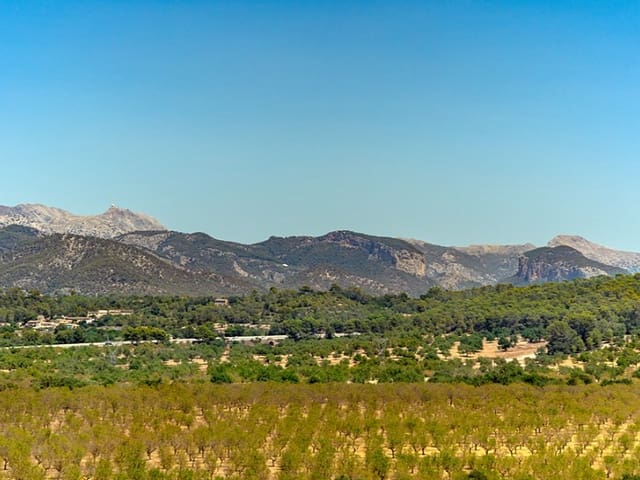 3 camera da letto Villa in vendita in Sa Cabaneta / La Cabaneta, Marratxí - 599.000 € (Rif: 10020667)