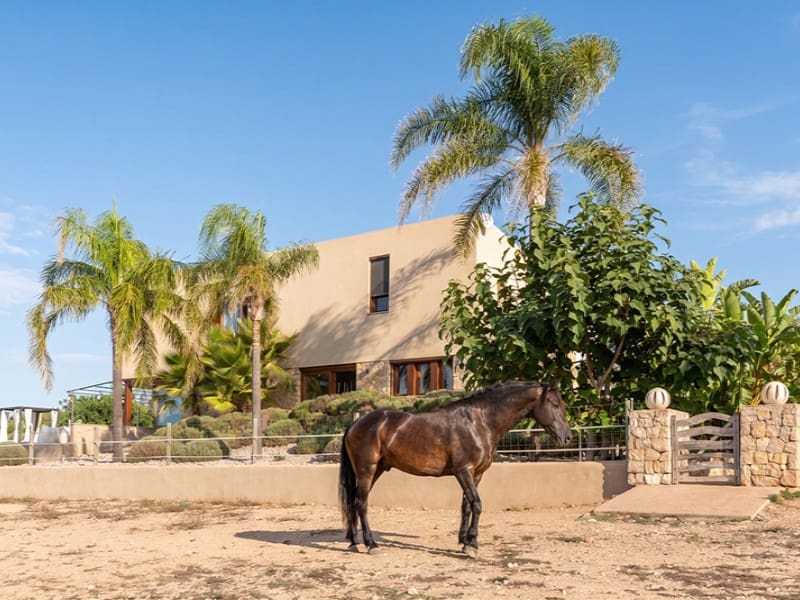 4 sovrum Finca/Hus på landet till salu i Montuiri med pool garage - 2 950 000 € (Ref: 10047074)