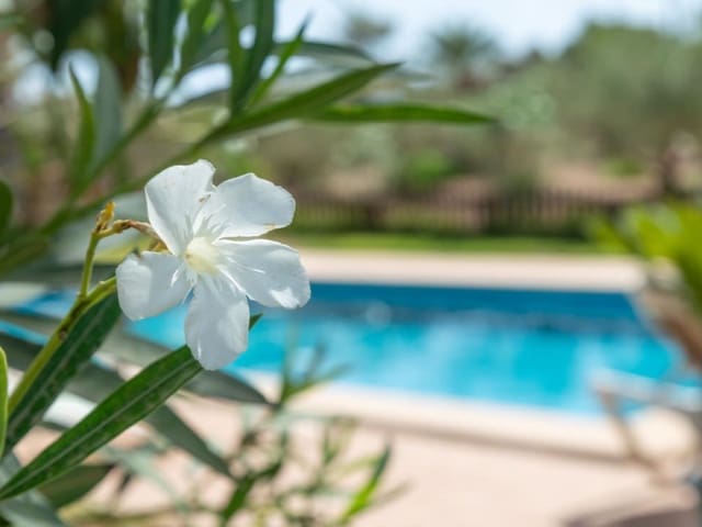 5 sovrum Finca/Hus på landet till salu i Colonia de Sant Jordi, Ses Salines med pool garage - 1 750 000 € (Ref: 10048964)