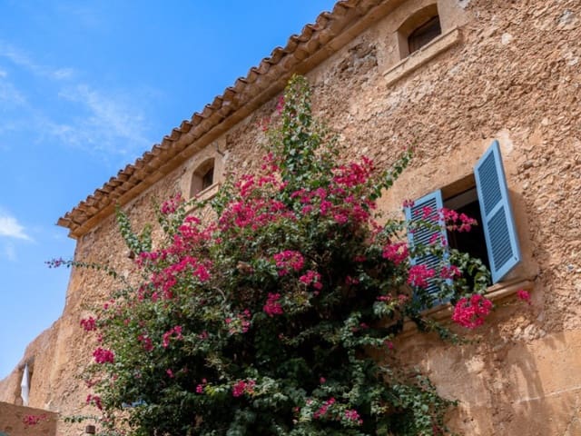 Chalet de 14 habitaciones en Binissalem en venta con piscina - 8.600.000 € (Ref: 10061719)