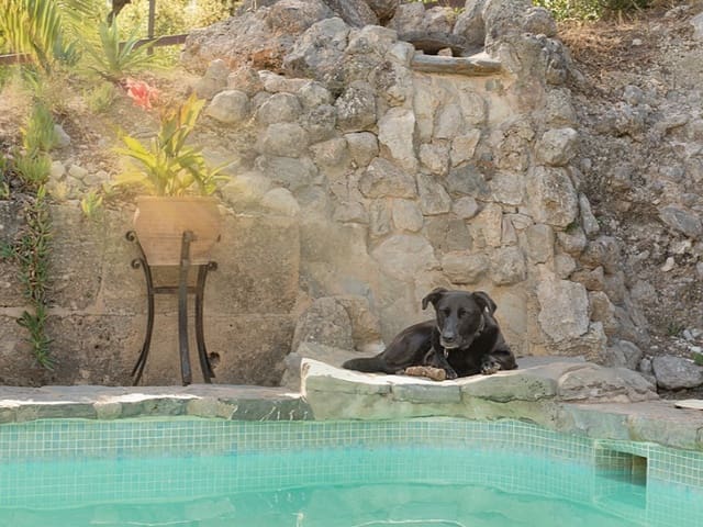 3 camera da letto Finca/Casa di Campagna in vendita in Bunyola con piscina - 1.895.000 € (Rif: 10102255)