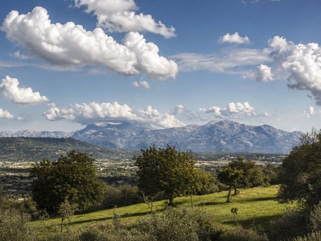 4 sypialnia Finka/Dom wiejski na sprzedaż w Manacor z basenem - 4 290 000 € (Ref: 10154951)