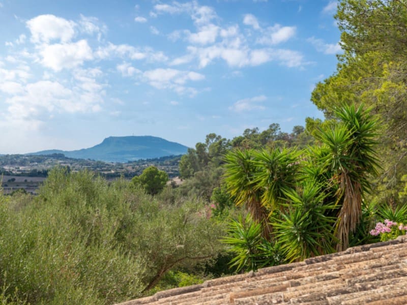 3 chambre Finca/Maison de Campagne à vendre à Sineu avec piscine - 775 000 € (Ref: 10161259)