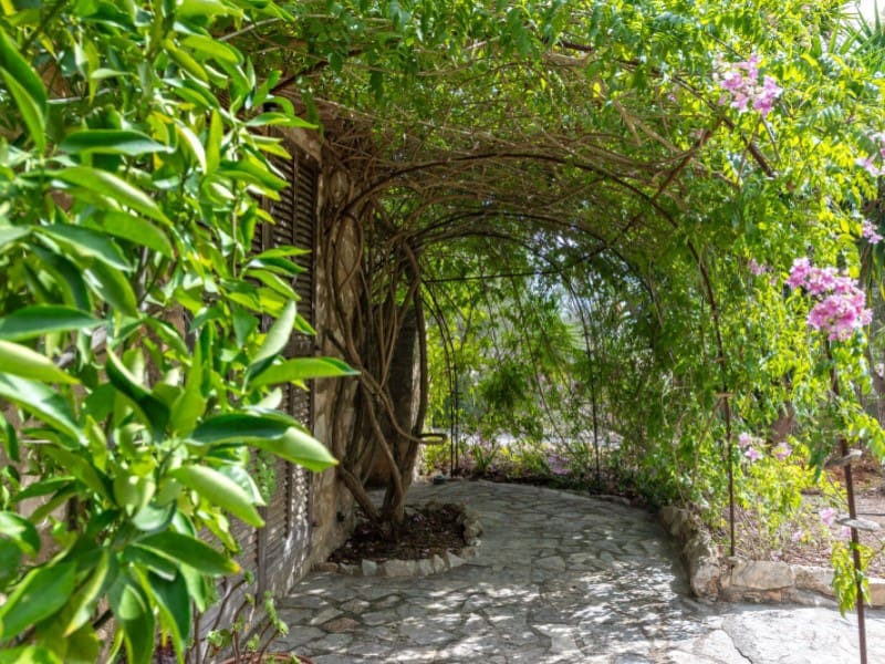 3 chambre Finca/Maison de Campagne à vendre à Sineu avec piscine - 775 000 € (Ref: 10161259)