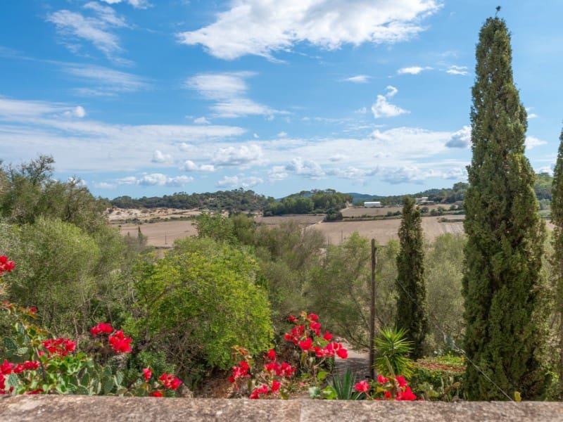 3 chambre Finca/Maison de Campagne à vendre à Sineu avec piscine - 775 000 € (Ref: 10161259)