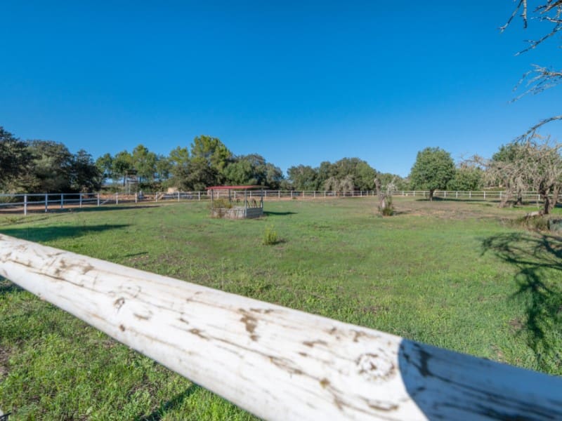 5 sovrum Finca/Hus på landet till salu i Algaida med pool - 2 300 000 € (Ref: 10177059)
