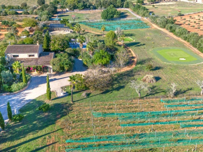 5 sovrum Finca/Hus på landet till salu i Algaida med pool - 2 300 000 € (Ref: 10177059)