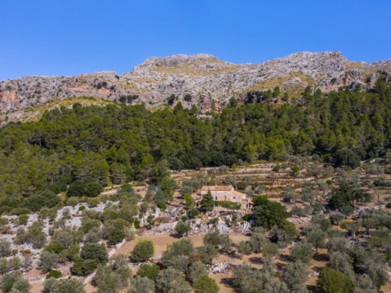 7 soverom Finca/Herregård til salgs i Pollensa / Pollenca med garasje - € 5 400 000 (Ref: 5800939)