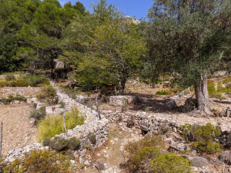 7 soverom Finca/Herregård til salgs i Pollensa / Pollenca med garasje - € 5 400 000 (Ref: 5800939)