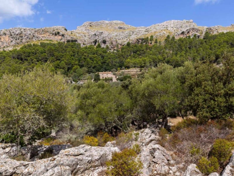 7 soverom Finca/Herregård til salgs i Pollensa / Pollenca med garasje - € 5 400 000 (Ref: 5800939)