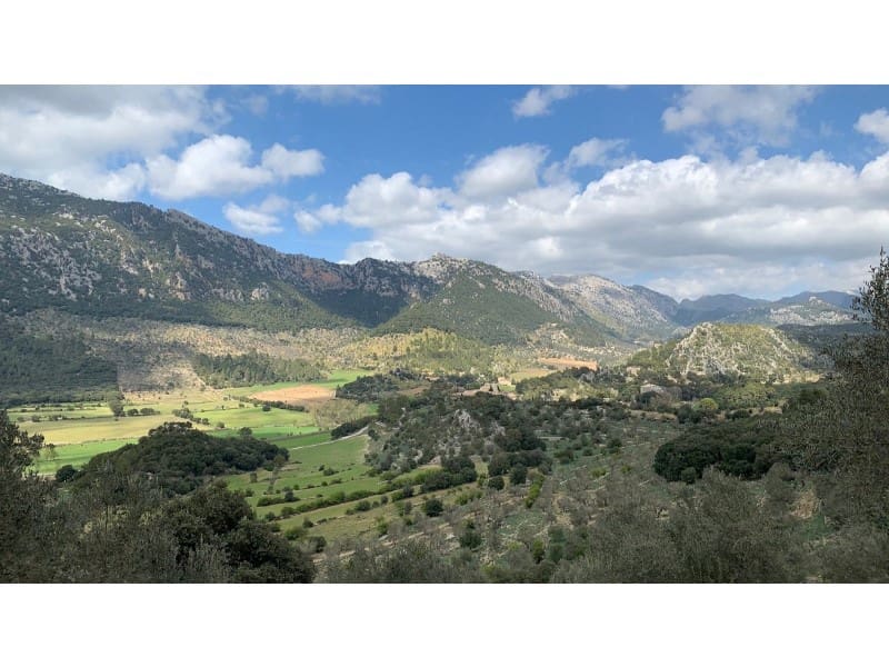 6 camera da letto Finca/Casa di Campagna in vendita in Orient - 2.400.000 € (Rif: 5800960)