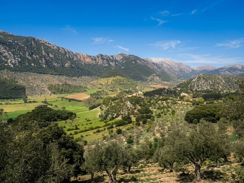 6 soveværelse Finca/Landehus til salg i Orient - € 2.400.000 (Ref: 5800960)