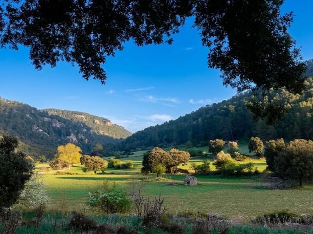 Finca/Casa Rural de 6 habitaciones en Orient, Bunyola en venta - 2.400.000 € (Ref: 5800960)