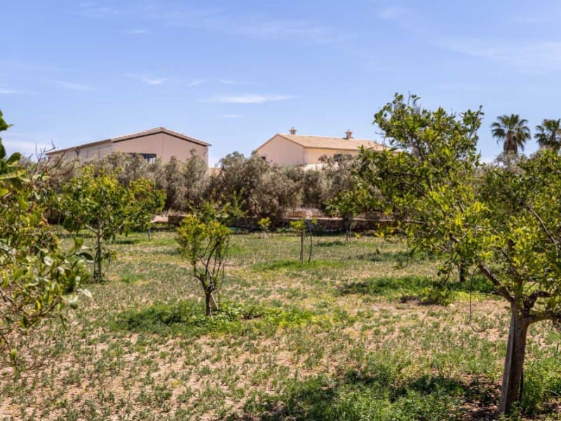 4 slaapkamer Finca/Landhuis te koop in Marratxi met zwembad garage - € 2.035.000 (Ref: 5801068)