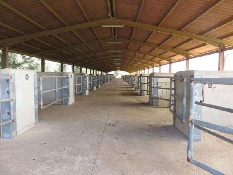 8 soveværelse Finca/Landehus til salg i Campos med garage - € 6.500.000 (Ref: 5801088)