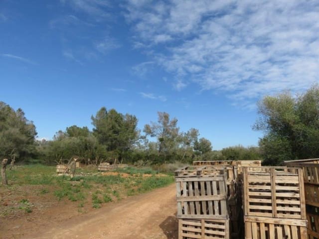 8 chambre Finca/Maison de Campagne à vendre à Campos avec garage - 6 500 000 € (Ref: 5801088)