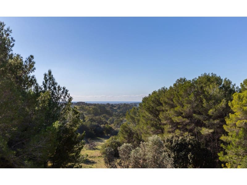 6 makuuhuone Maalaistalo myytävänä paikassa Santa Maria del Cami mukana uima-altaan 
autotalli - 2 995 000 € (Ref: 5801133)