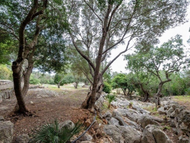 11 soveværelse Finca/Landehus til salg i Pollensa / Pollenca med swimmingpool garage - € 3.500.000 (Ref: 5801184)