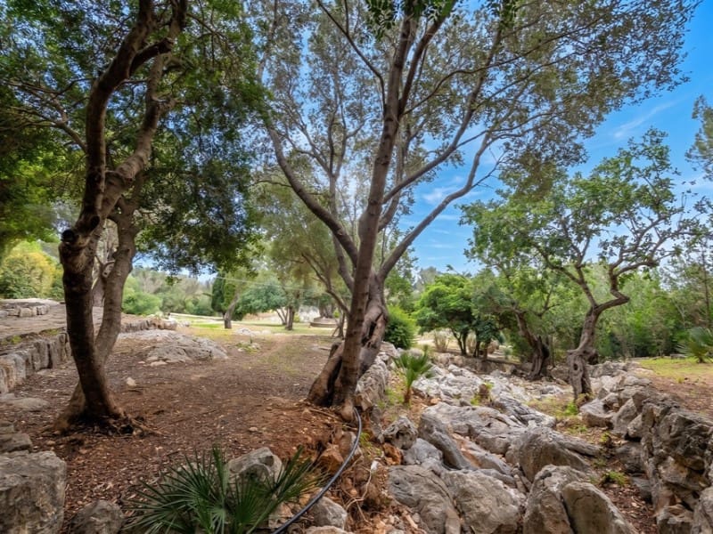 11 bedroom Finca/Country House for sale in Pollensa / Pollenca with pool garage - € 3,500,000 (Ref: 5801184)
