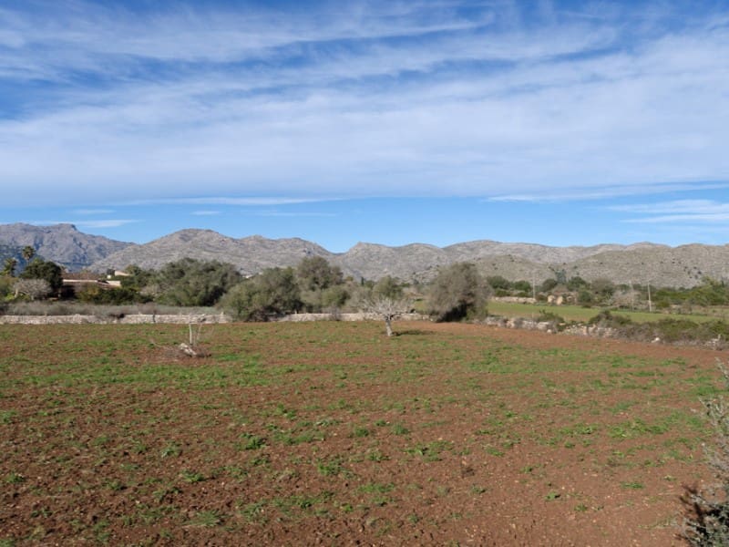 4 bedroom Finca/Country House for sale in Pollensa / Pollenca - € 1,200,000 (Ref: 5801260)