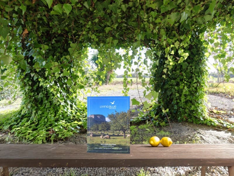 4 bedroom Finca/Country House for sale in Pollensa / Pollenca - € 1,200,000 (Ref: 5801260)