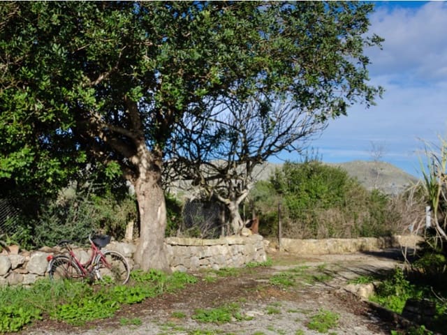 Finca/Casa Rural de 4 habitaciones en Pollensa / Pollença en venta - 1.200.000 € (Ref: 5801260)